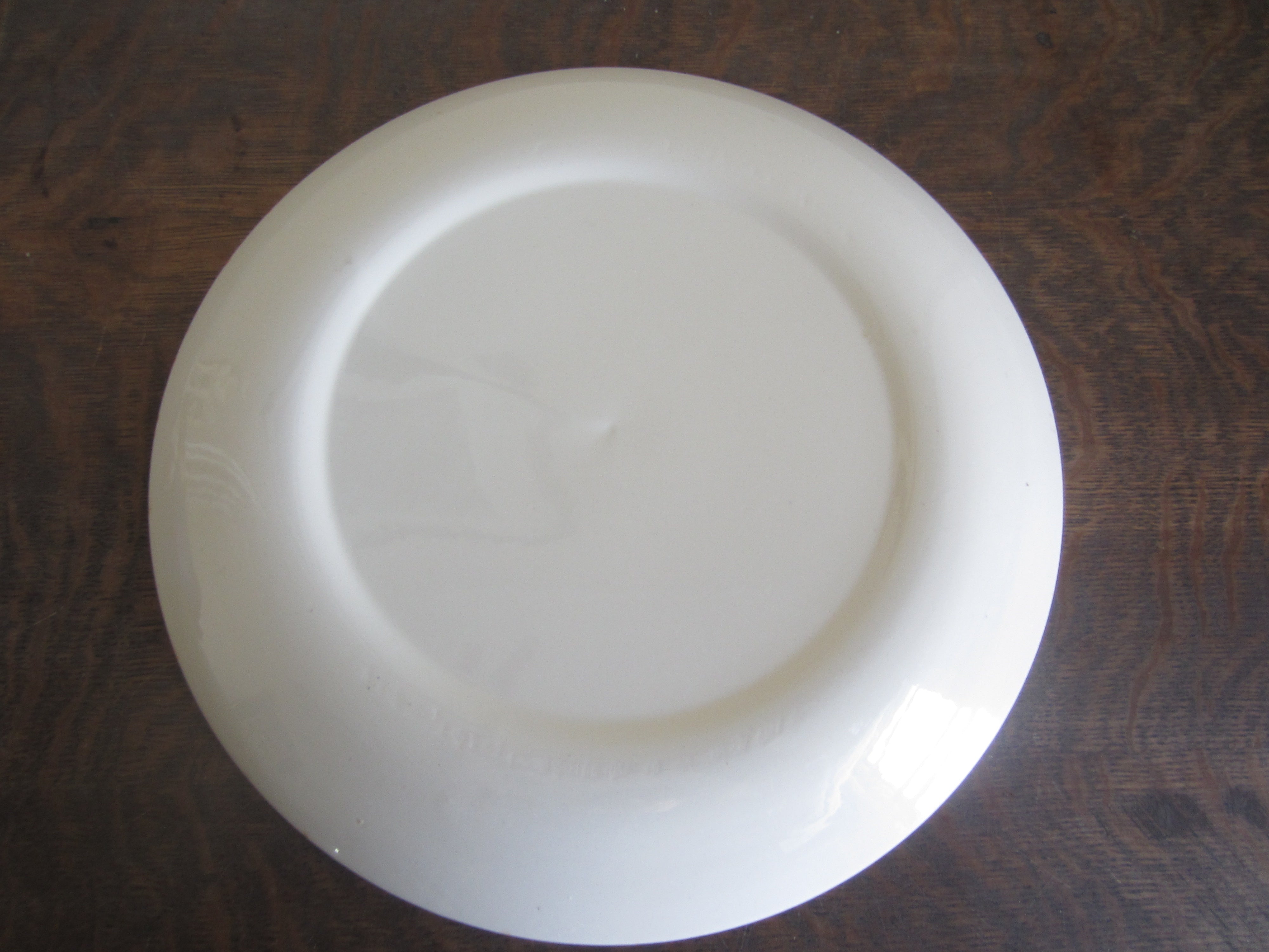 Homer Laughlin BRISTOL Stoneware 12" Serving Platter